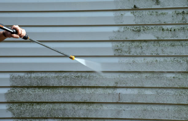 Best Driveway Pressure Washing  in Wixom, MI